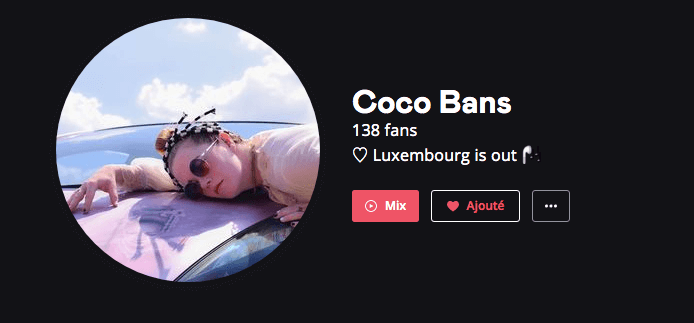 Mejorar su perfil de Deezer : 3. La frase clave